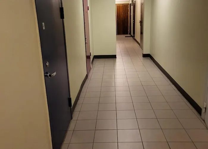 Kaupmehe 아파트 *